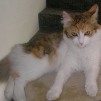 Photo de profil de Caramelle