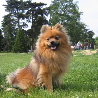 Photo de profil de Barrio