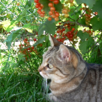 Photo de profil de Minette