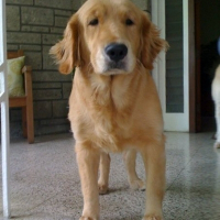 Photo de profil de Princess