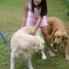 Photo de Fifi