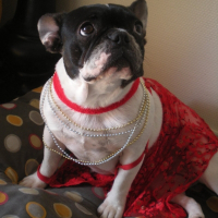 Photo de profil de Béthie