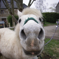 Photo de profil de Blanche