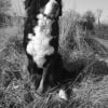 Photo de Texane