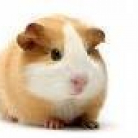 Photo de profil de Doudou