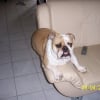 Photo de D'joy