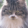 Photo de Prisca