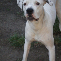 Photo de profil de Cirka