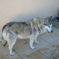 Photo de profil de Bayla