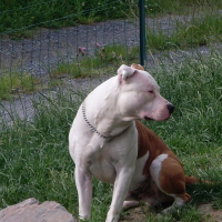 Photo de profil de Dirt