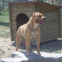 Photo de profil de Criska