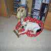 Photo de Baya
