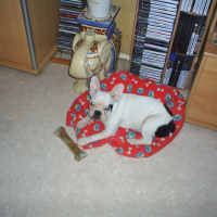 Photo de profil de Baya