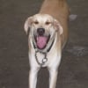 Photo de Raja