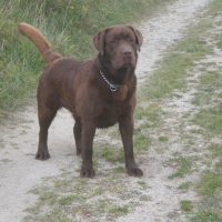 Photo de profil de Dj