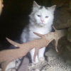 Photo de Etoile