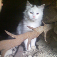 Photo de profil de Etoile