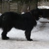 Photo de Roxy