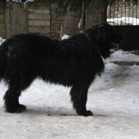 Photo de profil de Roxy