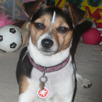 Photo de profil de Arwen