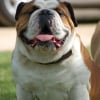 Photo de Georges