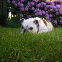 Photo de profil de Maya
