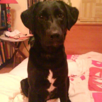 Photo de profil de Louna