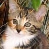 Photo de Tara