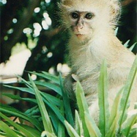 Photo de profil de Charly