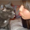 Photo de Samba