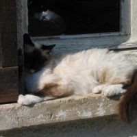 Photo de profil de Nours