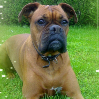 Photo de profil de Ripsie