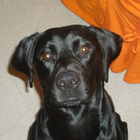 Photo de profil de Byron