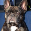 Photo de Tooky tempo