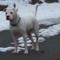 Photo de profil de Venezia blanca