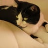 Photo de Pussy