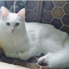 Photo de Winry