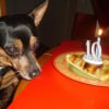 Photo de Praline