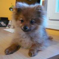 Photo de profil de Erton