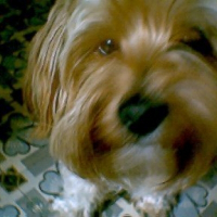 Photo de profil de Snoocky