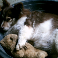 Photo de profil de Lyka