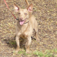 Photo de profil de Rocky
