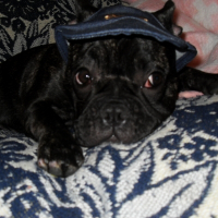 Photo de profil de Dory