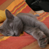 Photo de Tytom