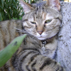 Photo de Poupousse