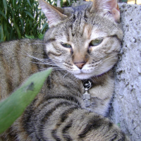 Photo de profil de Poupousse