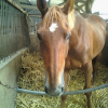 Photo de Minate