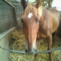 Photo de profil de Minate