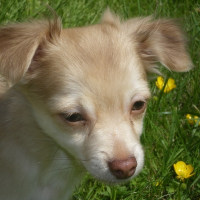 Photo de profil de Billy boy