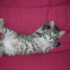 Photo de Mistie